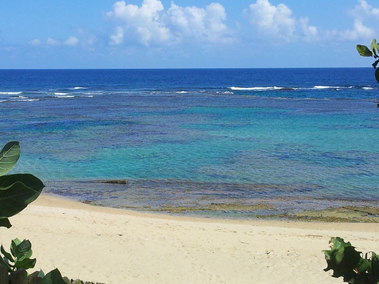 Shack’s Beach